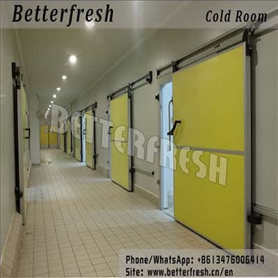 Manufacturer Betterfresh Cold Room Vegetable Storage Cool